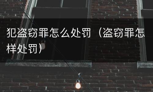 犯盗窃罪怎么处罚（盗窃罪怎样处罚）