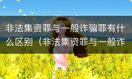非法集资罪与一般诈骗罪有什么区别（非法集资罪与一般诈骗罪有什么区别呢）