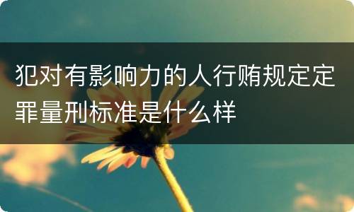 犯对有影响力的人行贿规定定罪量刑标准是什么样