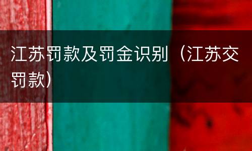 江苏罚款及罚金识别（江苏交罚款）