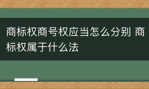 商标权商号权应当怎么分别 商标权属于什么法