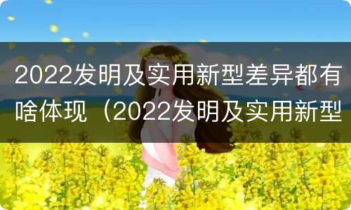 2022发明及实用新型差异都有啥体现（2022发明及实用新型差异都有啥体现呢）
