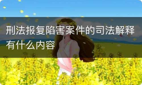 刑法报复陷害案件的司法解释有什么内容
