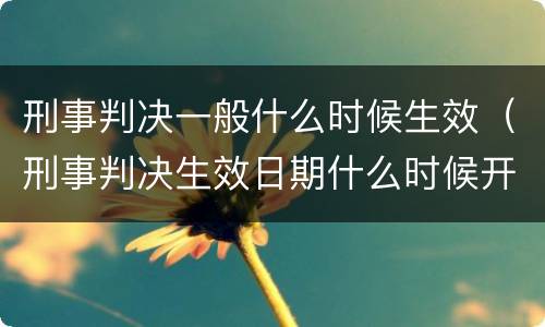 刑事判决一般什么时候生效（刑事判决生效日期什么时候开始算）