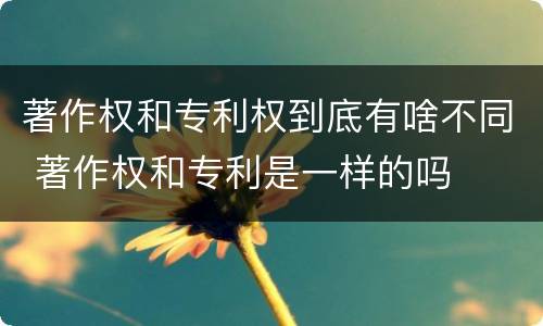 著作权和专利权到底有啥不同 著作权和专利是一样的吗