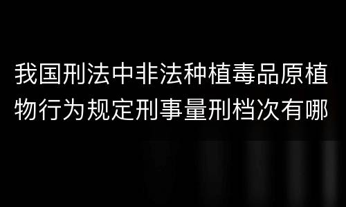 我国刑法中非法种植毒品原植物行为规定刑事量刑档次有哪些