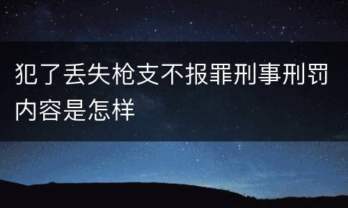 犯了丢失枪支不报罪刑事刑罚内容是怎样