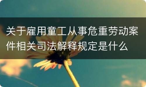 关于雇用童工从事危重劳动案件相关司法解释规定是什么