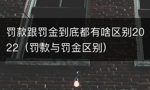 罚款跟罚金到底都有啥区别2022（罚款与罚金区别）