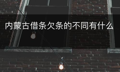 内蒙古借条欠条的不同有什么