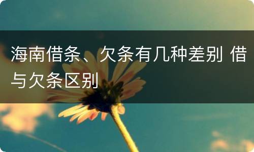 海南借条、欠条有几种差别 借与欠条区别