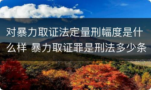 对暴力取证法定量刑幅度是什么样 暴力取证罪是刑法多少条