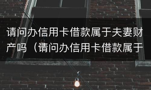 请问办信用卡借款属于夫妻财产吗（请问办信用卡借款属于夫妻财产吗安全吗）