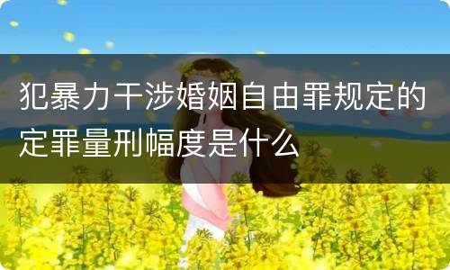犯暴力干涉婚姻自由罪规定的定罪量刑幅度是什么