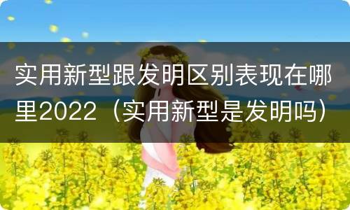 实用新型跟发明区别表现在哪里2022（实用新型是发明吗）