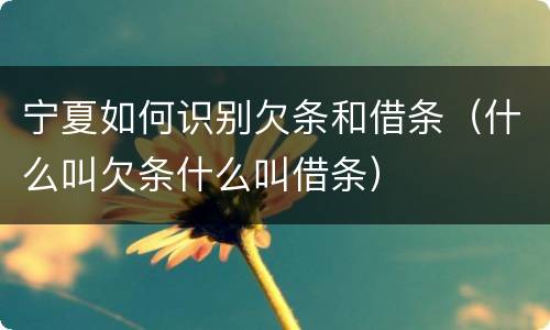 宁夏如何识别欠条和借条（什么叫欠条什么叫借条）