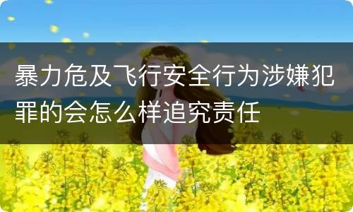 暴力危及飞行安全行为涉嫌犯罪的会怎么样追究责任