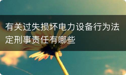 有关过失损坏电力设备行为法定刑事责任有哪些