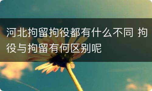 河北拘留拘役都有什么不同 拘役与拘留有何区别呢