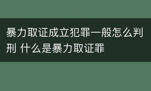 暴力取证成立犯罪一般怎么判刑 什么是暴力取证罪