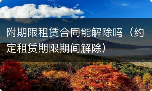 附期限租赁合同能解除吗（约定租赁期限期间解除）