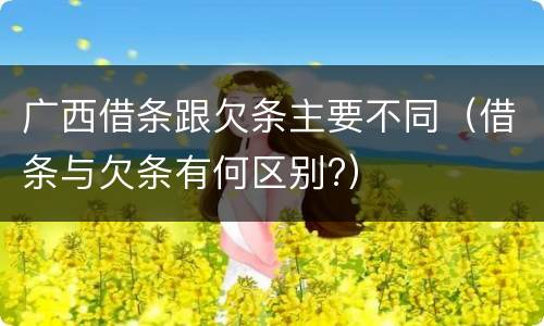 广西借条跟欠条主要不同（借条与欠条有何区别?）