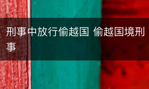 刑事中放行偷越国 偷越国境刑事