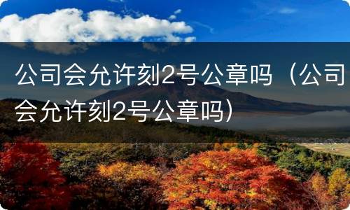 公司会允许刻2号公章吗（公司会允许刻2号公章吗）