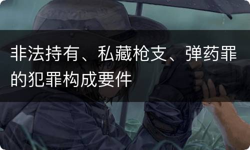 非法持有、私藏枪支、弹药罪的犯罪构成要件