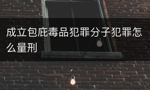成立包庇毒品犯罪分子犯罪怎么量刑