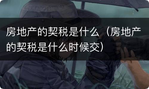 房地产的契税是什么（房地产的契税是什么时候交）