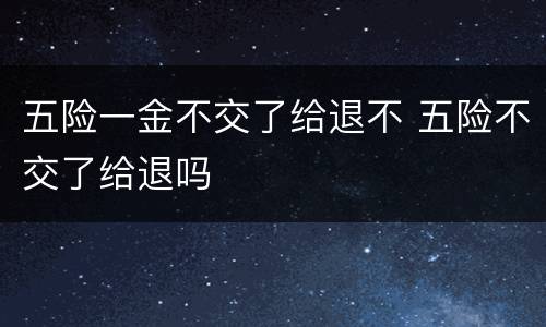 五险一金不交了给退不 五险不交了给退吗
