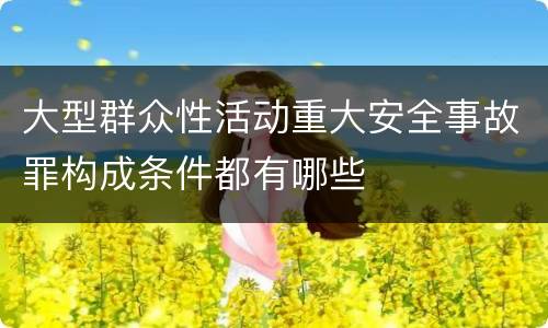 大型群众性活动重大安全事故罪构成条件都有哪些