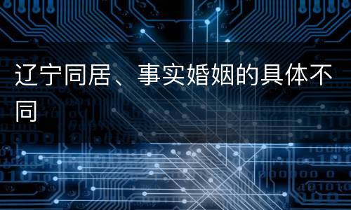 辽宁同居、事实婚姻的具体不同