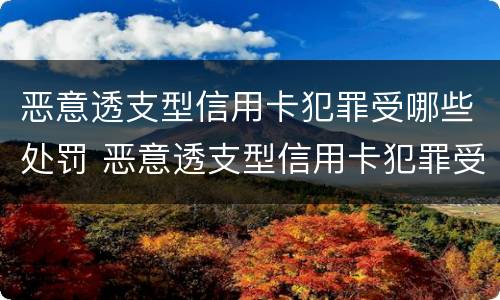 恶意透支型信用卡犯罪受哪些处罚 恶意透支型信用卡犯罪受哪些处罚呢