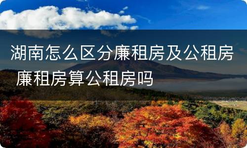 湖南怎么区分廉租房及公租房 廉租房算公租房吗