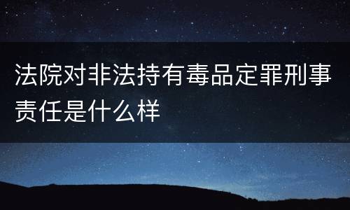 法院对非法持有毒品定罪刑事责任是什么样