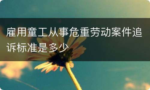 雇用童工从事危重劳动案件追诉标准是多少