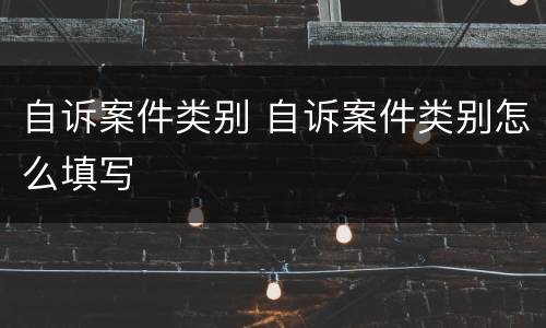 自诉案件类别 自诉案件类别怎么填写