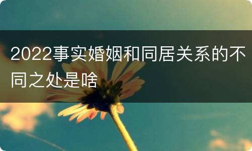 2022事实婚姻和同居关系的不同之处是啥