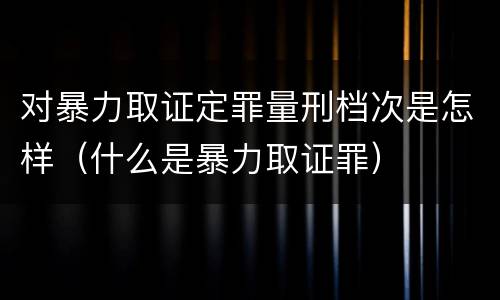 对暴力取证定罪量刑档次是怎样（什么是暴力取证罪）