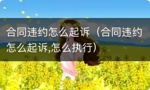 合同违约怎么起诉（合同违约怎么起诉,怎么执行）