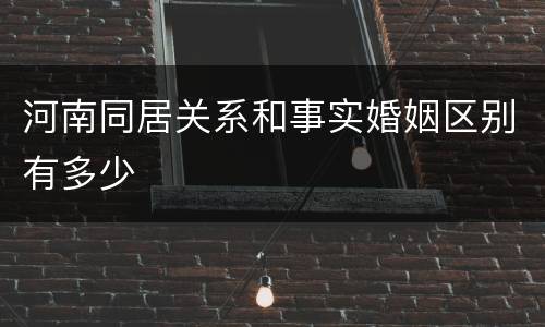 河南同居关系和事实婚姻区别有多少