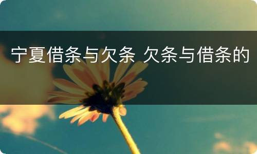 宁夏借条与欠条 欠条与借条的