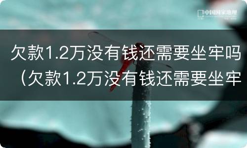 欠款1.2万没有钱还需要坐牢吗（欠款1.2万没有钱还需要坐牢吗为什么）