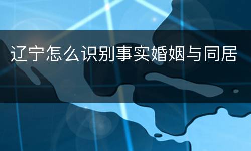 辽宁怎么识别事实婚姻与同居