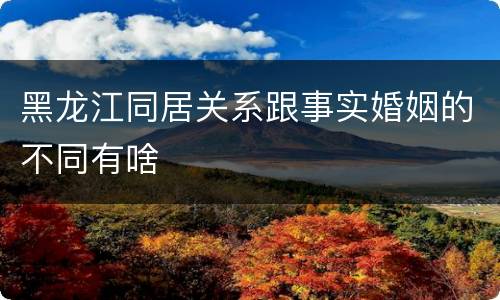 黑龙江同居关系跟事实婚姻的不同有啥