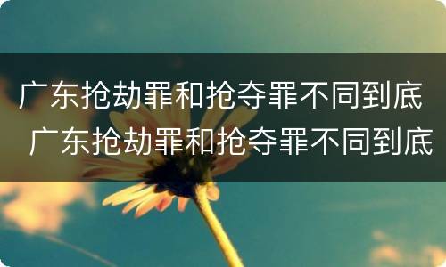 广东抢劫罪和抢夺罪不同到底 广东抢劫罪和抢夺罪不同到底怎么判