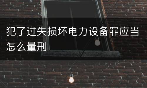犯了过失损坏电力设备罪应当怎么量刑