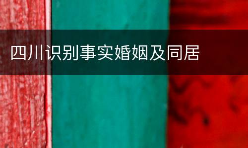 四川识别事实婚姻及同居